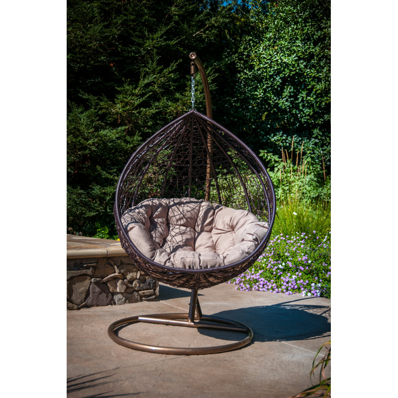 nest hammock swing chair